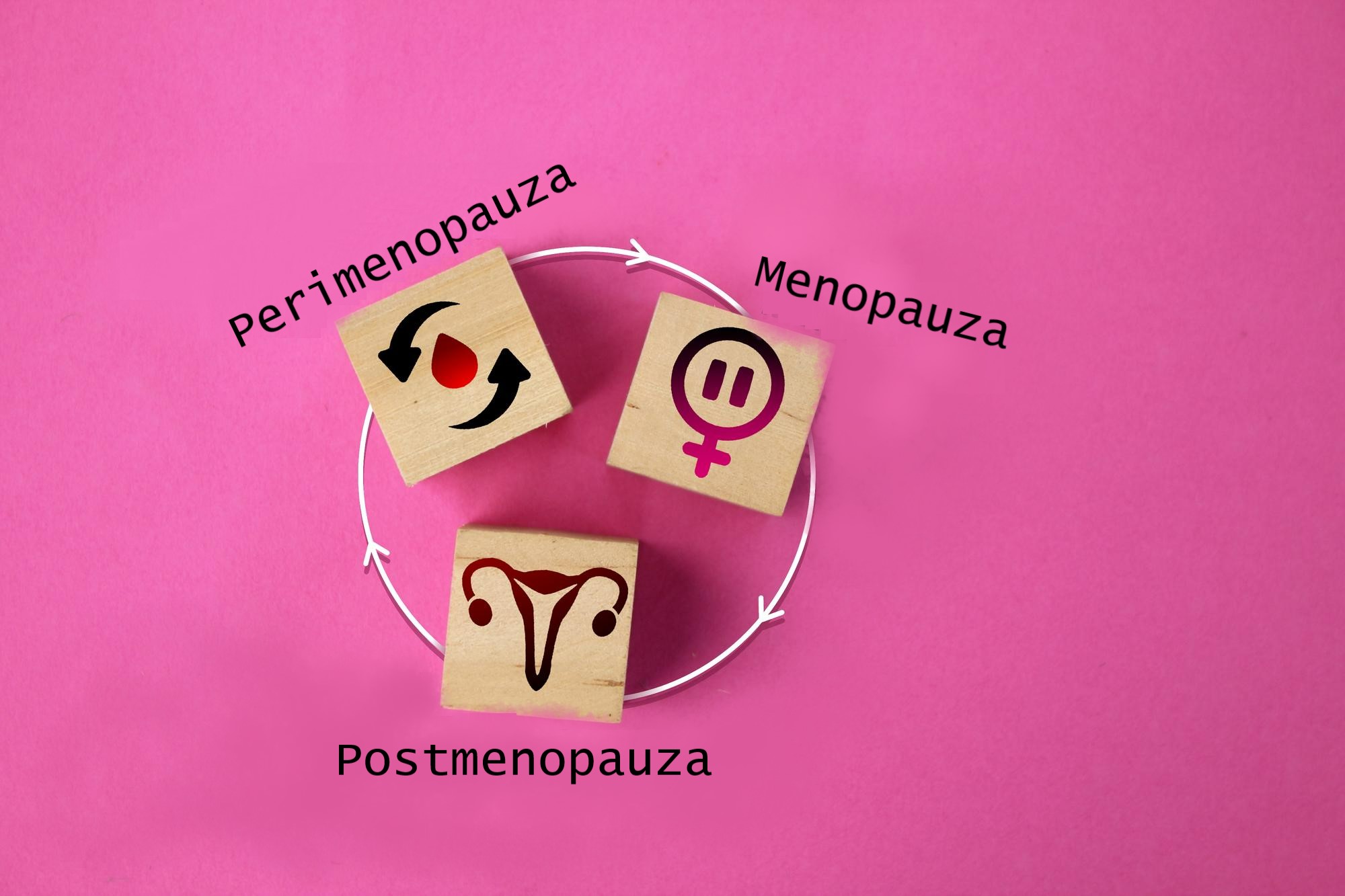 Perimenopauza menopauza postmenopauza