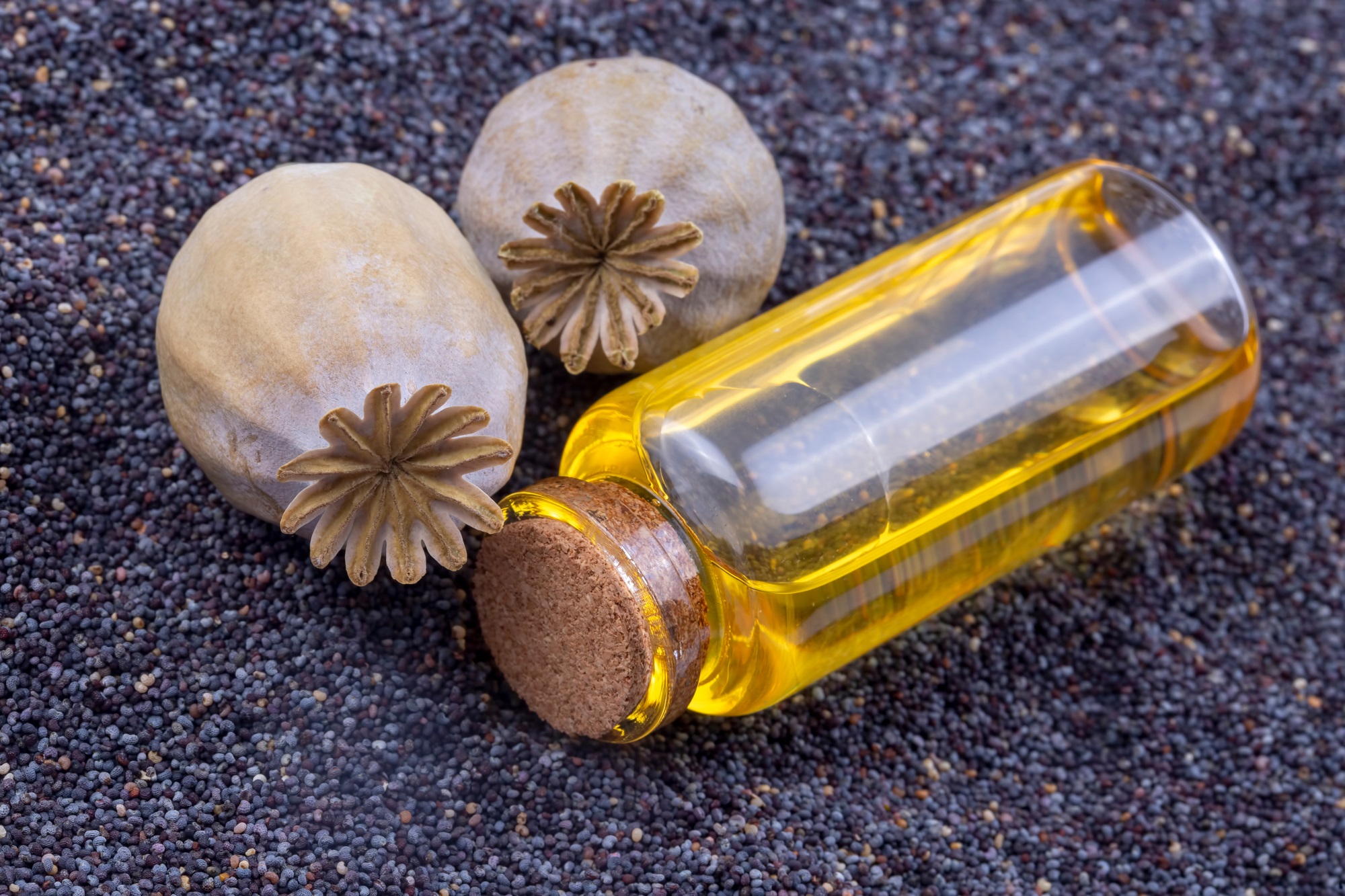 Zdroje omega-6 mastných kyselín.